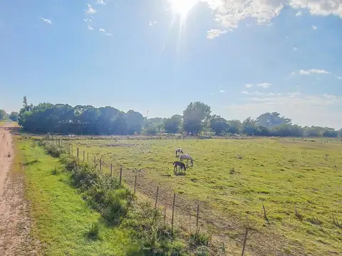 Terreno en venta - 629,25Mts2 - Carmen de Areco