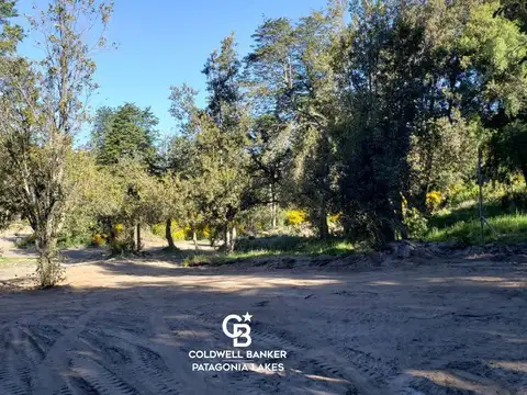 VENTA Lote/Terreno 1000m2 Ideal desarrollo  para  4 cabañas. Villa La Angostura