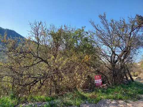 Terreno en Venta de 1100,0 m2