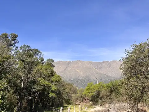 Ruta Provincial Nº 14