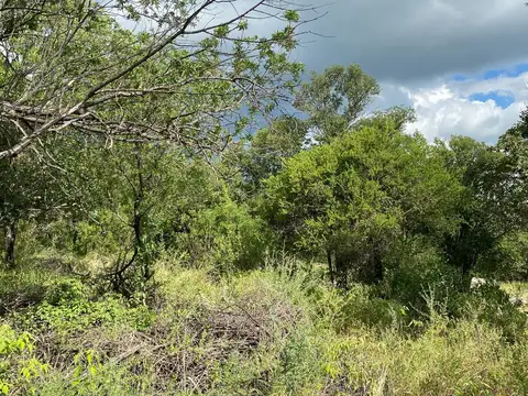 Terreno en Venta 39  mts Fondo