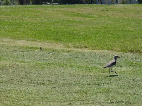 Terreno en Venta en San Benito, USD 200.000