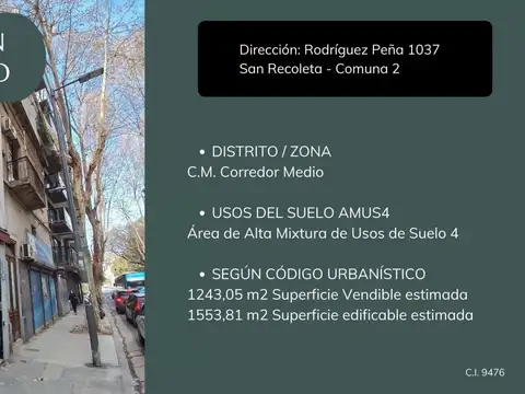 Rodriguez Peña 1000