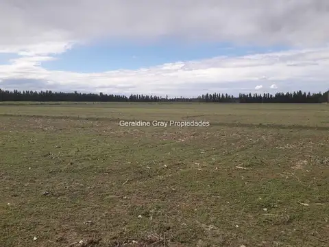 Terreno en Venta de 240000,0 m2