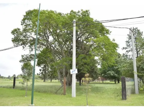 Terreno en Venta 33  mts Fondo