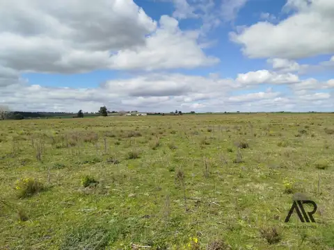 Excelente campo ganadero/agrícola en venta de 103 ha ubicado en Solís de Mataojo