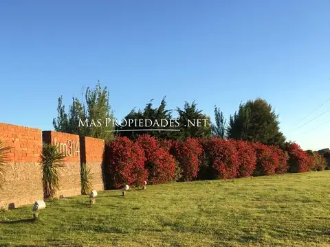 Venta Terreno / Lote interno en Km 314 San Clemente