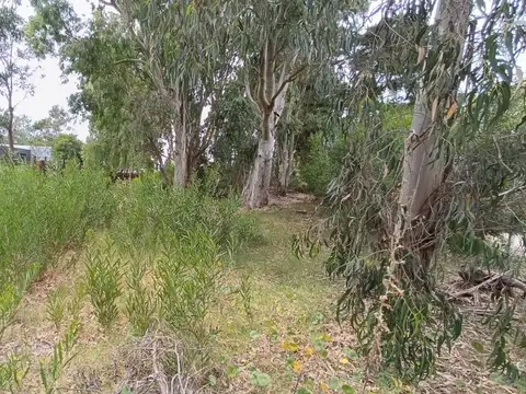 Venta lote Golf Costa Esmeralda