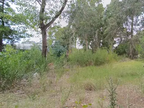 Terreno en Venta de 1417,0 m2