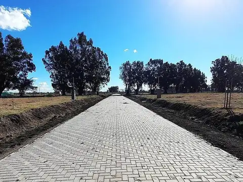 Terreno en Venta de 600,0 m2