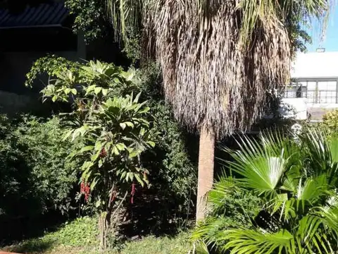 Pellegrini 100 casa 4 dormitorios excelente Terreno