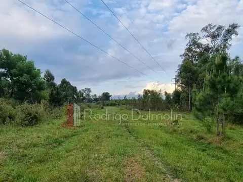 VENDO. 7.4 Hectáreas sobre Av. Pte Illia. Concordia, ER.- V