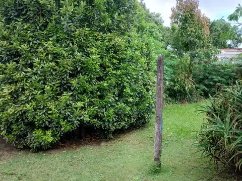 Terreno en Alvear  al 300, Granadero Baigorria lote de terreno 8,66 x 29,44 todos los servicios