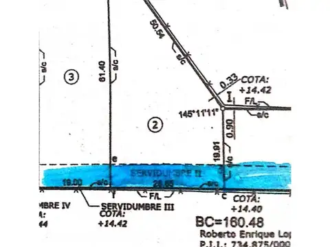 Los Eucaliptus y  La Luna 100