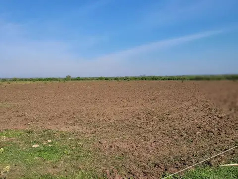 Ruta 14 Gualeguaychú