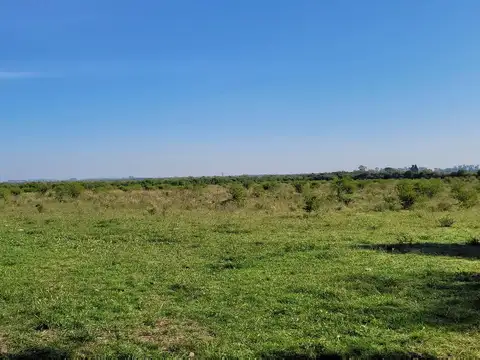 Campo en Gualeguaychú