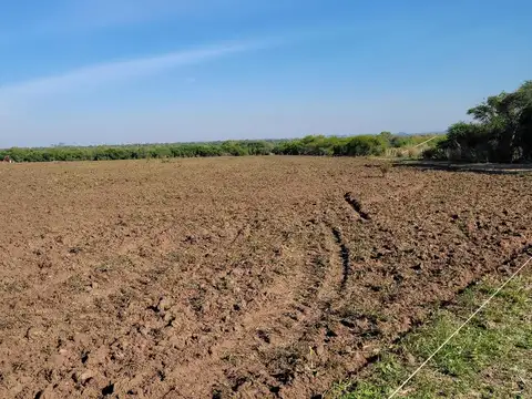 Ruta 14 Gualeguaychú