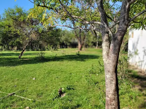 Campo en Gualeguaychú