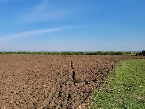 Campo en Gualeguaychú