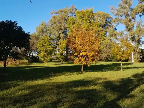 Zona de Quintas Quinta 229 200