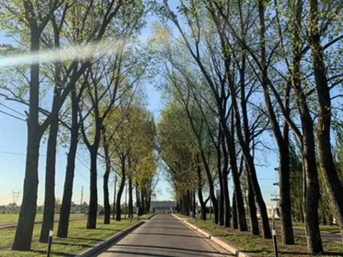 Terreno en Venta, FOT 908