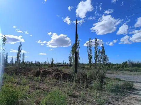 5 héctareas (chacra)  con riego y entrada individual en 25 de mayo La Pampa