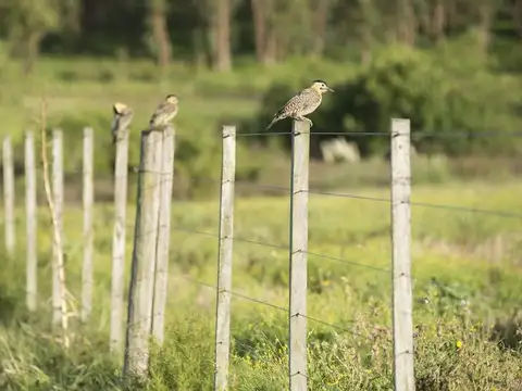 Terreno en Venta de 35049,0 m2