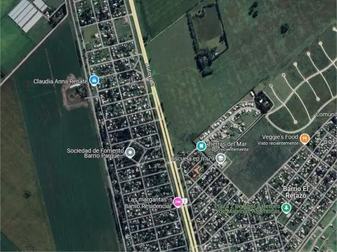 Campo en Constitución