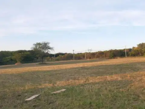 Barrio abierto Los Cardos