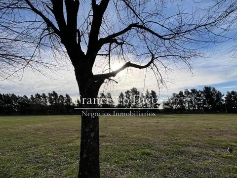 Terreno en Venta en Haras San Pablo, USD 55.000