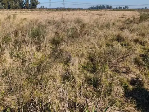 Campo en venta - 83.000Mts2 - Florencio Varela