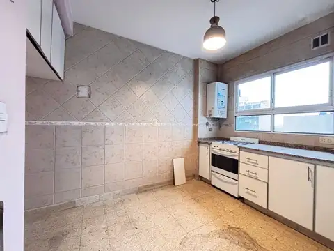 Damaso Larrañaga 500