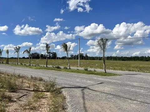 Terreno en Venta 50  mts Fondo