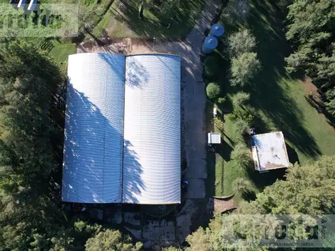 Campo en Ruta 41 Navarro