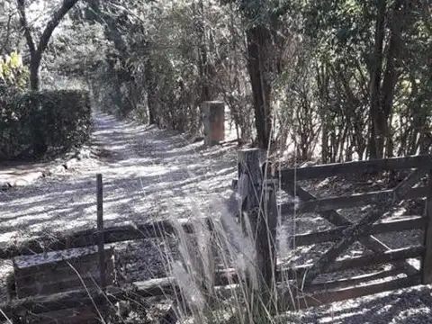 COMECHINGONES al 600