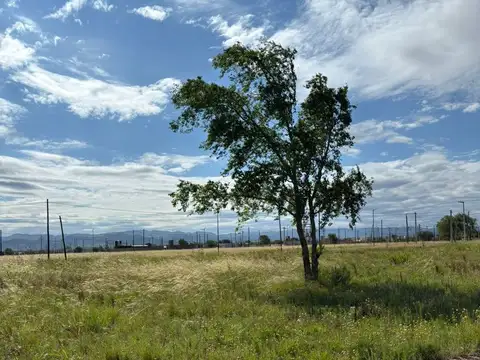 VENTA DE LOTE 360m2 en BARRIO NORTE 2