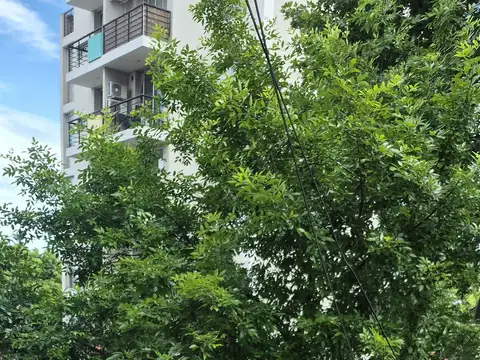 2 monoambiente grande céntrico y luminoso