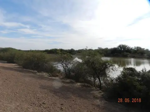 Campo en Mendoza, Santa Rosa Ganadero