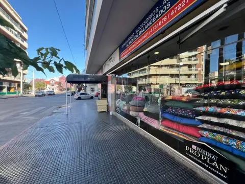 Isabel La Católica 700