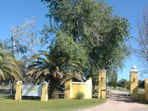 La Cecilia club de campo