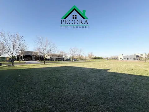 Lote - El Cazal -  Interno - Lote 33