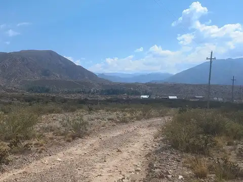 VENTA TERRENO 1 HA LOS CONDORES POTRERILLOS