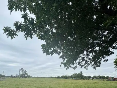 Leandro Firpo Martin De Yrigoyen