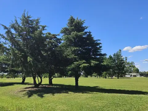 IMPERDIBLE LOTE al Golf en PINARES COUNTRY