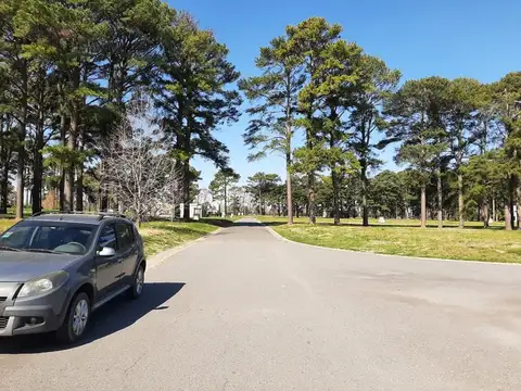 Lote Terreno barrio Los Pinares Ex de la Cruz