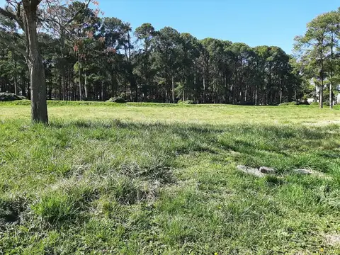 Terreno en Venta de 1500,0 m2