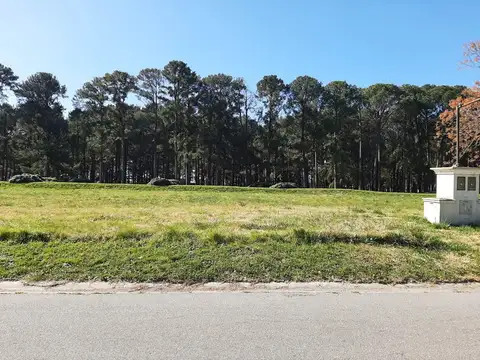 Lote Terreno barrio Los Pinares Ex de la Cruz