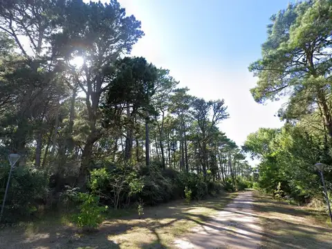 Terreno en Venta sobre Providencia - Carilo 2385m2