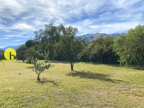 LOTE DE 1.508MTS EN PANTANILLO