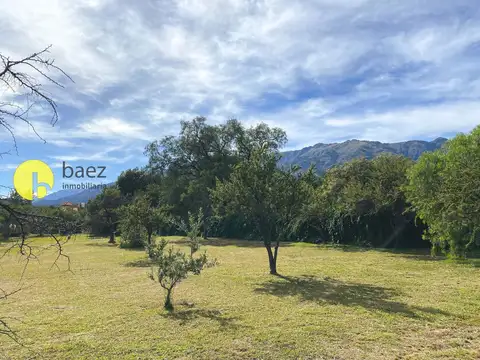 LOTE DE 1.508MTS EN PANTANILLO